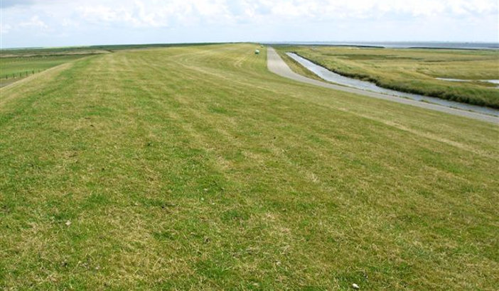 Van der Meer Ameland